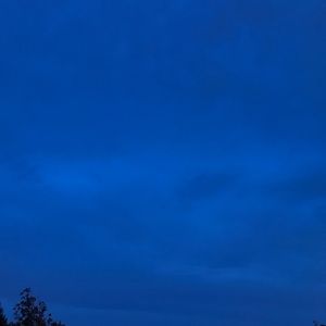 Meet your Posher, Dianna